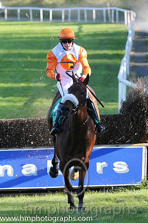 06th PU Mr Responsible ( 4 , white, orange disc ) and K.M. Donoghue - Trainer : T.G.McCourt - Owner : Ms. Susanna McCaffrey