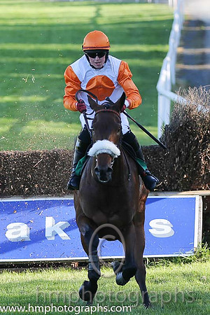 06th PU Mr Responsible ( 4 , white, orange disc ) and K.M. Donoghue - Trainer : T.G.McCourt - Owner : Ms. Susanna McCaffrey