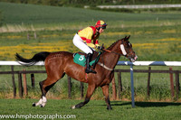 10th Deputy Consort (USA) ( 5 , yellow, red cross belts ) and K. Ferris (7) - Trainer : R. K. Watson - Owner : T.B. Ferris