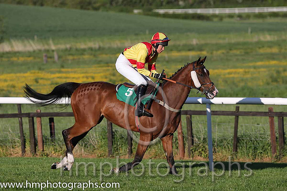 10th Deputy Consort (USA) ( 5 , yellow, red cross belts ) and K. Ferris (7) - Trainer : R. K. Watson - Owner : T.B. Ferris
