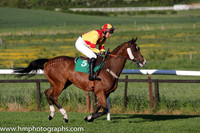 10th Deputy Consort (USA) ( 5 , yellow, red cross belts ) and K. Ferris (7) - Trainer : R. K. Watson - Owner : T.B. Ferris