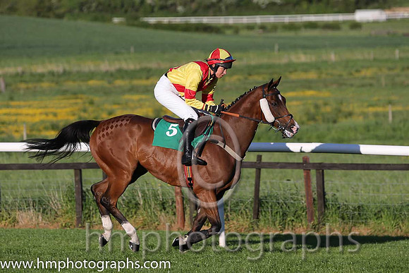 10th Deputy Consort (USA) ( 5 , yellow, red cross belts ) and K. Ferris (7) - Trainer : R. K. Watson - Owner : T.B. Ferris