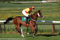 10th Deputy Consort (USA) ( 5 , yellow, red cross belts ) and K. Ferris (7) - Trainer : R. K. Watson - Owner : T.B. Ferris
