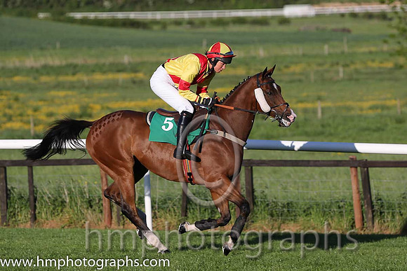 10th Deputy Consort (USA) ( 5 , yellow, red cross belts ) and K. Ferris (7) - Trainer : R. K. Watson - Owner : T.B. Ferris