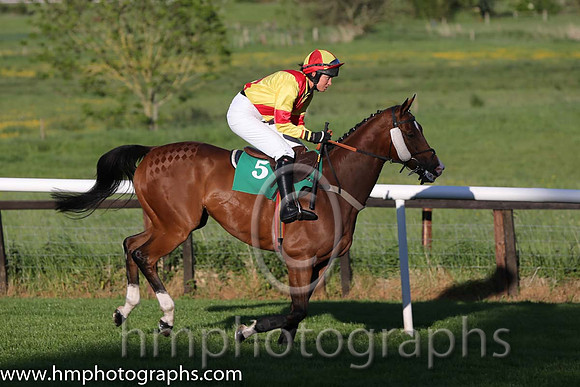 10th Deputy Consort (USA) ( 5 , yellow, red cross belts ) and K. Ferris (7) - Trainer : R. K. Watson - Owner : T.B. Ferris