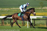 08th Illtakeitfromhere ( 1 , light blue, blue hoop ) and D.J. Mullins (5) - Trainer : Paul Nolan - Owner : Philip Byrne