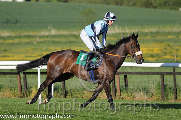 08th Illtakeitfromhere ( 1 , light blue, blue hoop ) and D.J. Mullins (5) - Trainer : Paul Nolan - Owner : Philip Byrne