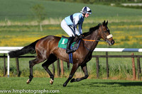 08th Illtakeitfromhere ( 1 , light blue, blue hoop ) and D.J. Mullins (5) - Trainer : Paul Nolan - Owner : Philip Byrne
