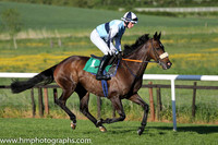 08th Illtakeitfromhere ( 1 , light blue, blue hoop ) and D.J. Mullins (5) - Trainer : Paul Nolan - Owner : Philip Byrne