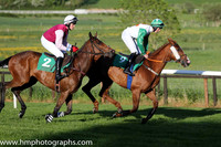 11th Willow Grange ( 2 , maroon, pink sleeves ) and R.P. Treacy (5) - Trainer : John Patrick Ryan - Owner : John Patrick Ryan