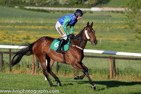 02nd Finea ( 6 , blue, green sleeves ) and J.J. King (5) - Trainer : R. K. Watson - Owner : R. K. Watson