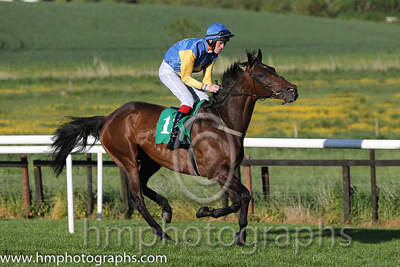 01st Bills Official ( 13 , blue, yellow cross ) and S.J. Hassett (3) - Trainer : Martin Hassett - Owner : T. F. Lonergan