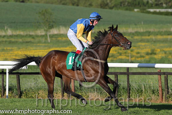 01st Bills Official ( 13 , blue, yellow cross ) and S.J. Hassett (3) - Trainer : Martin Hassett - Owner : T. F. Lonergan