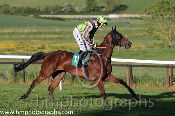 07th Sand Artist ( 12 , green, purple checvron ) and B.J. Cooper - Trainer : Gordon Elliott - Owner : Christopher Donnelly
