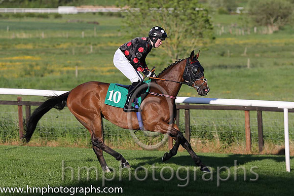 05th Duroob and Luike dempsey (10m black, red spots) Tariner : Anthony McCann, Owner : Miss Rita Shah