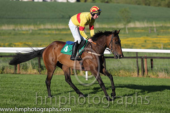 13th Winnie Cooper ( 4 , yellow, red hoop ) and A.E. Lynch - Trainer : Adrian Murray - Owner : Charles J. Maguire/Miss Clair O'Neill