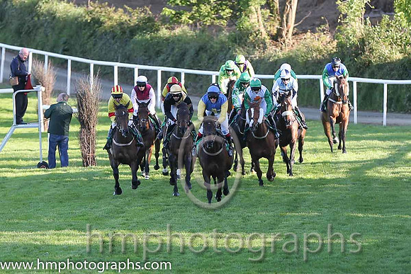 The start of race 5 at Downpatrick