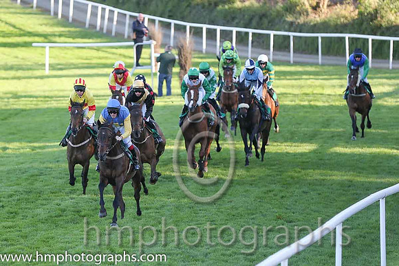 01st Bills Official ( 13 , blue, yellow cross ) and S.J. Hassett (3) - Trainer : Martin Hassett - Owner : T. F. Lonergan