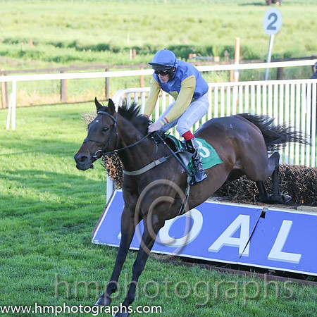01st Bills Official ( 13 , blue, yellow cross ) and S.J. Hassett (3) - Trainer : Martin Hassett - Owner : T. F. Lonergan