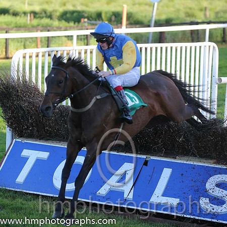 01st Bills Official ( 13 , blue, yellow cross ) and S.J. Hassett (3) - Trainer : Martin Hassett - Owner : T. F. Lonergan