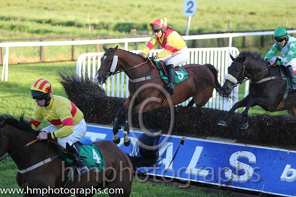 10th Deputy Consort (USA) ( 5 , yellow, red cross belts ) and K. Ferris (7) - Trainer : R. K. Watson - Owner : T.B. Ferris