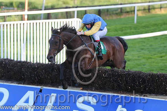 01st Bills Official ( 13 , blue, yellow cross ) and S.J. Hassett (3) - Trainer : Martin Hassett - Owner : T. F. Lonergan