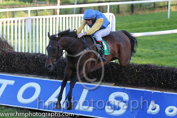01st Bills Official ( 13 , blue, yellow cross ) and S.J. Hassett (3) - Trainer : Martin Hassett - Owner : T. F. Lonergan