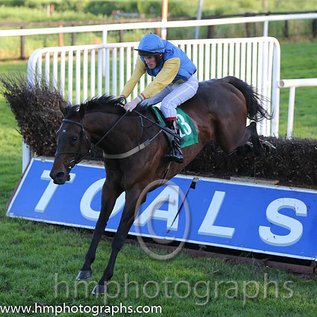 01st Bills Official ( 13 , blue, yellow cross ) and S.J. Hassett (3) - Trainer : Martin Hassett - Owner : T. F. Lonergan