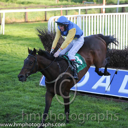 01st Bills Official ( 13 , blue, yellow cross ) and S.J. Hassett (3) - Trainer : Martin Hassett - Owner : T. F. Lonergan