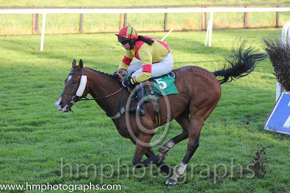 10th Deputy Consort (USA) ( 5 , yellow, red cross belts ) and K. Ferris (7) - Trainer : R. K. Watson - Owner : T.B. Ferris