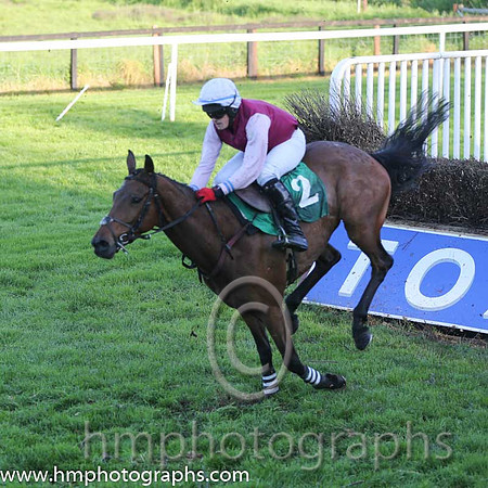 11th Willow Grange ( 2 , maroon, pink sleeves ) and R.P. Treacy (5) - Trainer : John Patrick Ryan - Owner : John Patrick Ryan