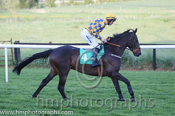 06th Island Master ( 4 , blue and yellow check ) and D. O'Connor - Trainer : W.J. Burke - Owner : Thomas W Murphy