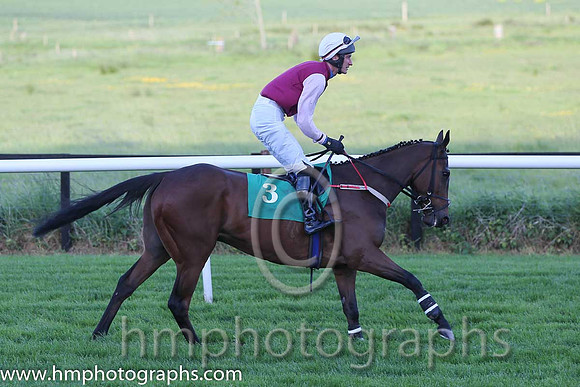 05th Inchivara ( 3 , maroon, pink sleeves ) and D. Skehan (7) - Trainer : John Patrick Ryan - Owner : John Patrick Ryan