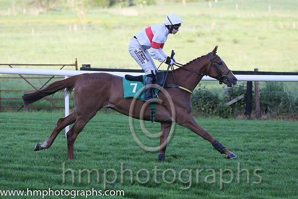 03rd Tiger Sam ( 7 , white, red hoop ) and N. Carberry - Trainer : Noel Meade - Owner : Noel Meade