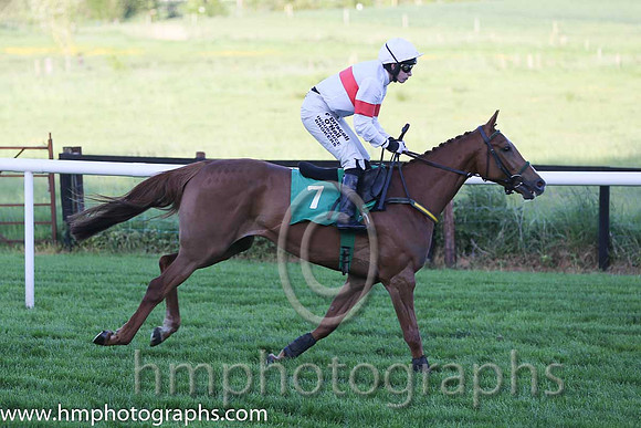 03rd Tiger Sam ( 7 , white, red hoop ) and N. Carberry - Trainer : Noel Meade - Owner : Noel Meade