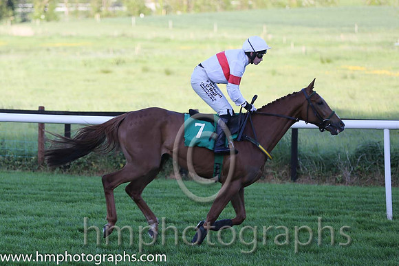 03rd Tiger Sam ( 7 , white, red hoop ) and N. Carberry - Trainer : Noel Meade - Owner : Noel Meade