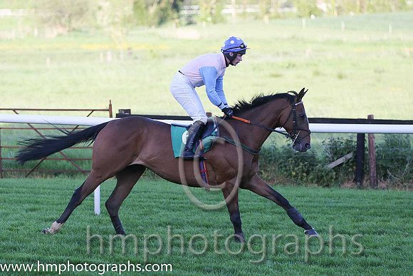 04th Serious Times ( 6 , pink, light blue sleeves ) and B.M. Linehan (7) - Trainer : Peter Maher - Owner : A. Weld