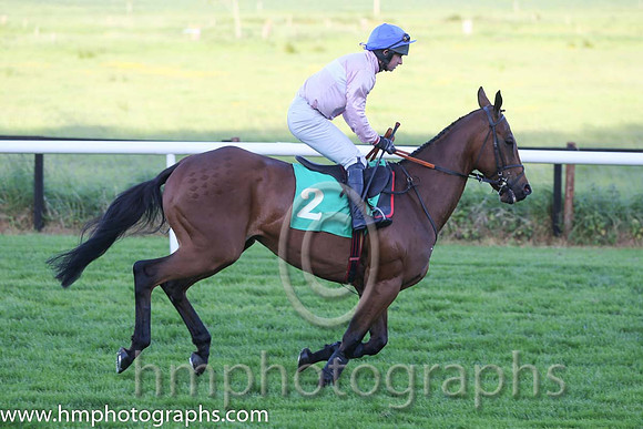 01st El Grande ( 2 , pink, white hoop ) and N. McParlan (5) - Trainer : J.T.R.Dreaper - Owner : Mrs.P.J.Conway