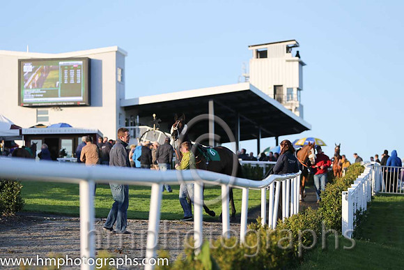 Downpatrick Parade Ring