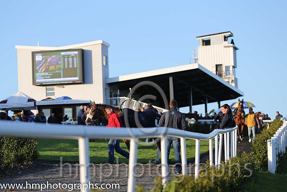 Downpatrick Parade Ring