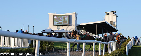 Downpatrick Parade Ring
