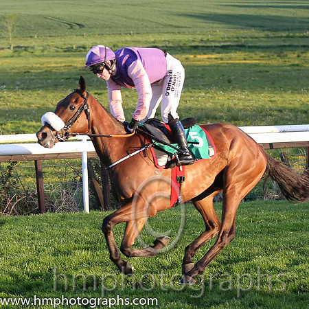 04th Spicy Fruity ( 5 , purple, pink star ) and N. Carberry - Trainer : Gordon Elliott - Owner : James W. Power