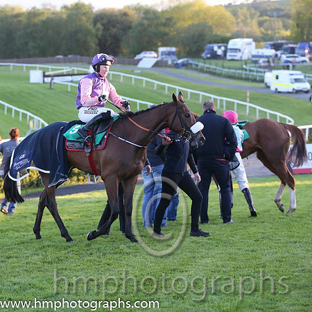 04th Spicy Fruity ( 5 , purple, pink star ) and N. Carberry - Trainer : Gordon Elliott - Owner : James W. Power