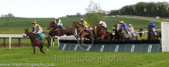 01st Haddington Road ( 7 , yellow, purple sleeves ) and Andrew J. McNamara - Trainer : Mrs D.A.Love - Owner : Ms. Salome M. Brennan