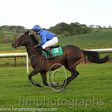 04th Cabra Boy ( 2 , blue, black stars ) and W.J. Boyes (7) - Trainer : Alan A.H. Wells - Owner : Alan A.H. Wells