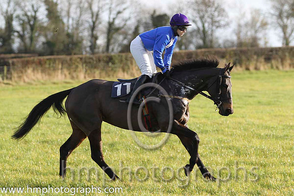 07 Gibbstown & Ms L O'Neill - 7th (11,royal blue, white panel ) - FT8E0711-97