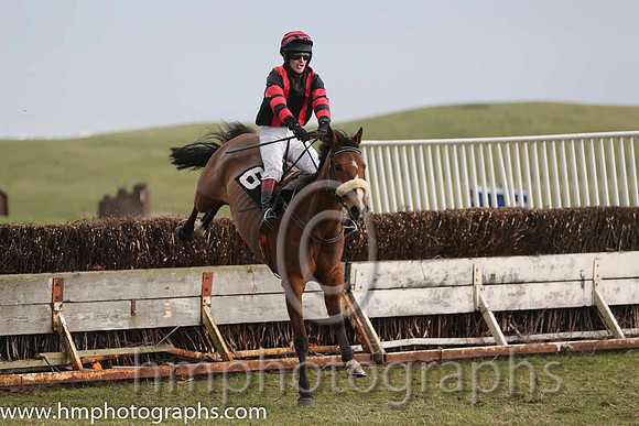 03rd Diamond Reign ( 6 ) M P Clarke - Trainer: Darren Clarke - black red stripes