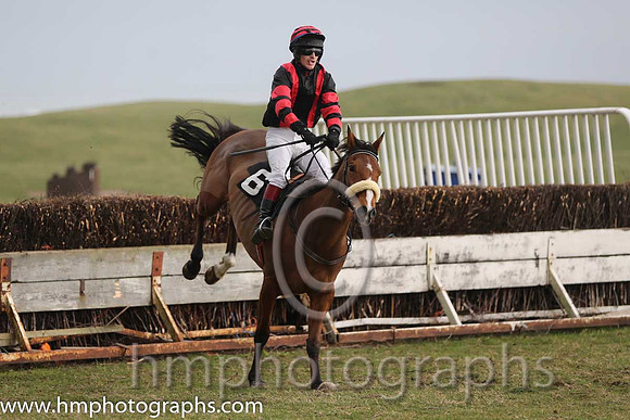 03rd Diamond Reign ( 6 ) M P Clarke - Trainer: Darren Clarke - black red stripes