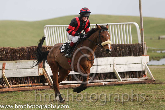 03rd Diamond Reign ( 6 ) M P Clarke - Trainer: Darren Clarke - black red stripes