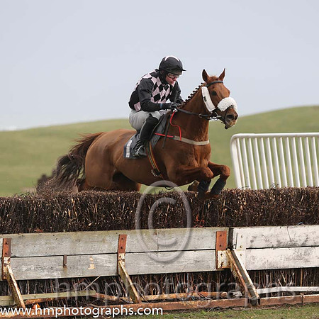 02nd Carnglave Cat ( 1 ) N McParlan - Trainer: Daniel A Fitzsimmons - black pink diamonds